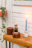 Mini Terrario plantas (9,5x4,5cm)