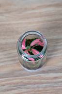 Mini Terrario plantas (9,5x4,5cm)