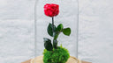 Rosa eterna preservada bajo cúpula de cristal de La Plantisserie