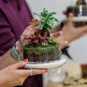 Taller de terrarios en Barcelona: crea tu jardín de cristal - La Plantisserie