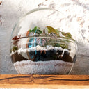 Terrario plantas Greener (28x28cm)