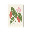 Lámina ilustrada de Begonia Maculata, impresión botánica en papel mate 200g · La Plantisserie