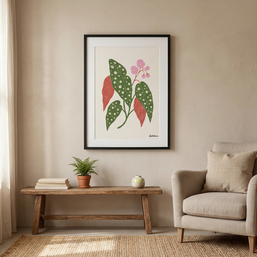 Begonia Maculata | Ilustration - La Plantisserie