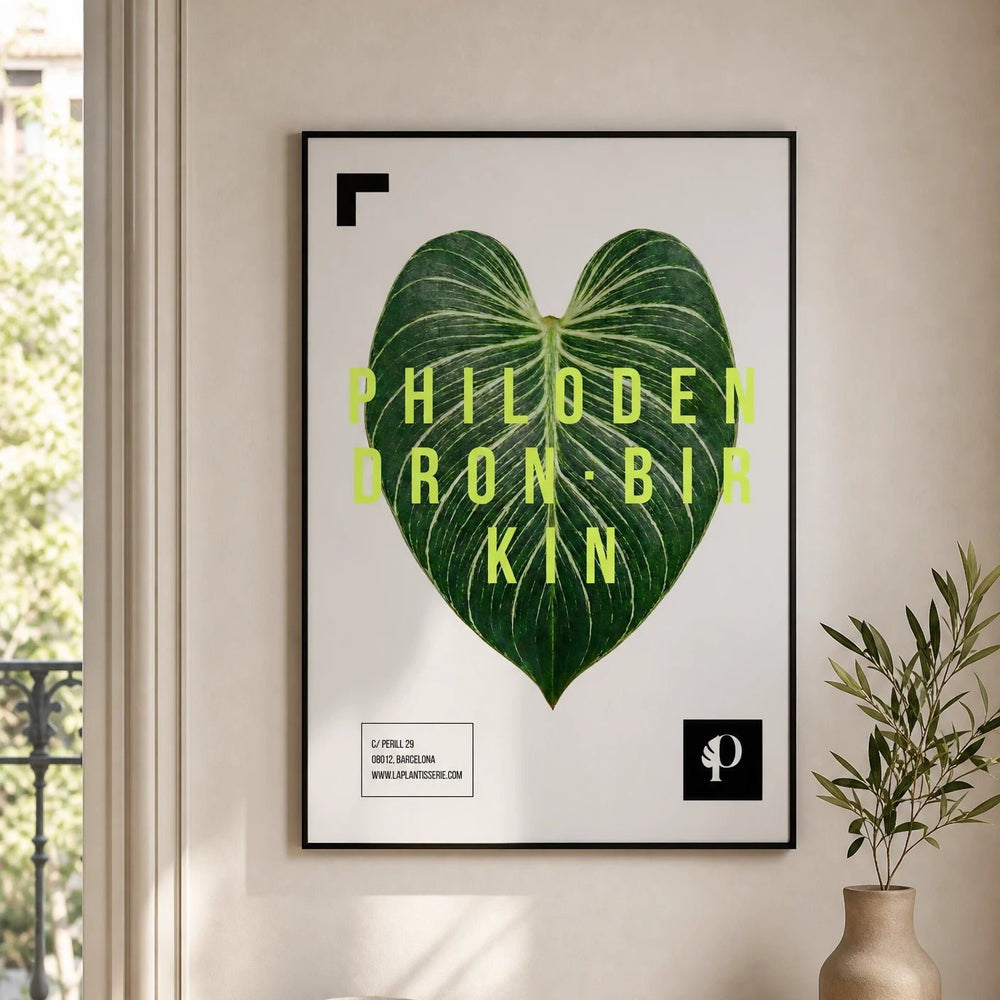 Birkin | Leaf - La Plantisserie