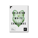 Lámina botánica de Caladium White Christmas (serie Leaf), impresión en papel mate 200g · La Plantisserie