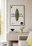 Lámina de Calathea Lancifolia enmarcada sobre un mueble bajo con jarrones junto a un sofá