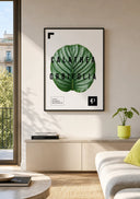 Calathea Orbifolia | Leaf - La Plantisserie