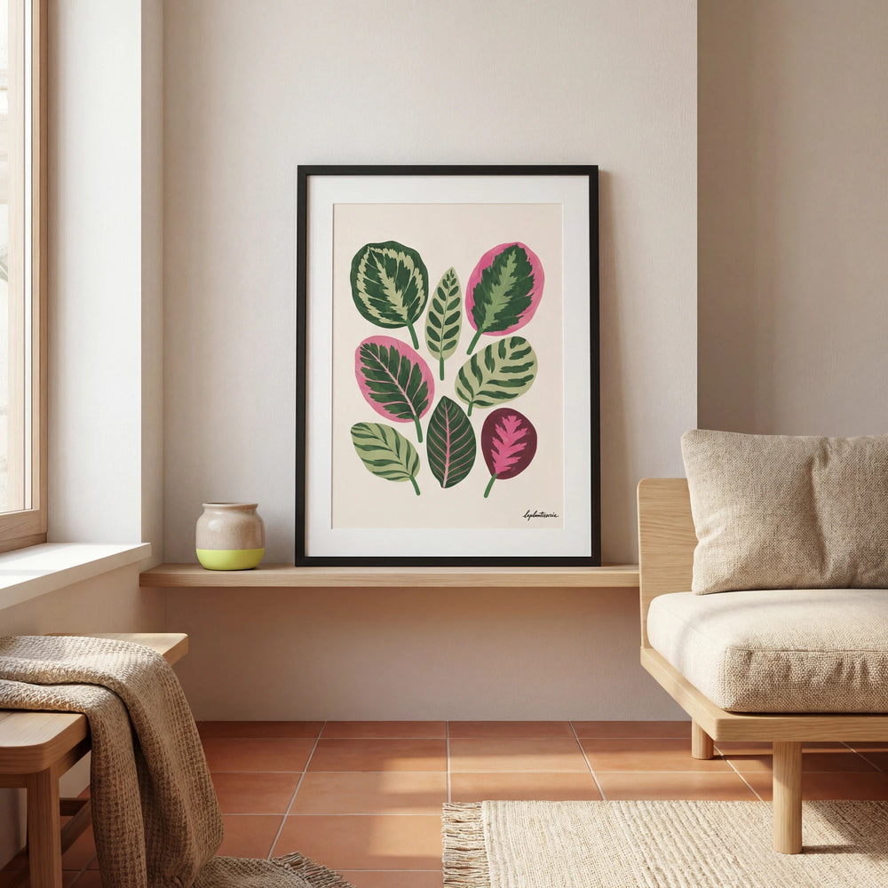 Calatheas | Ilustration - La Plantisserie
