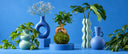 <h3><strong>verde y decoración<br/>&nbsp;siempre de la mano</strong></h3>