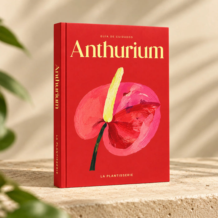 cuidados-anthurium