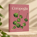 cuidados-ceropegia