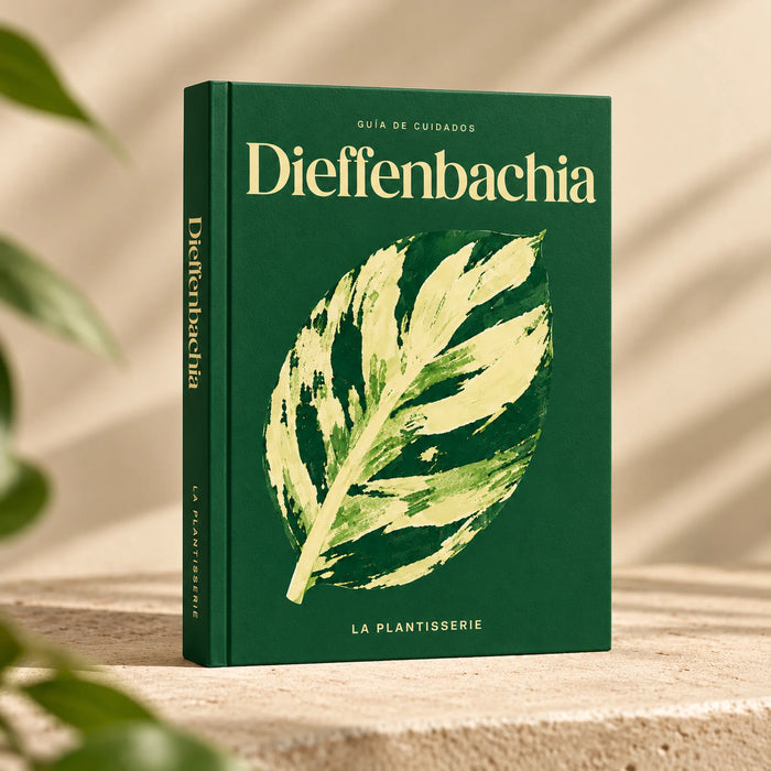 cuidados-dieffenbachia