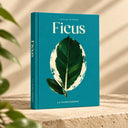 cuidados-ficus