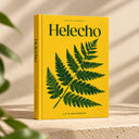 cuidados-helecho