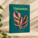 cuidados-marantas