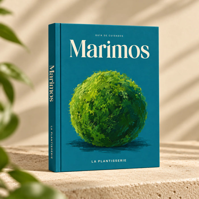 cuidados-marimos