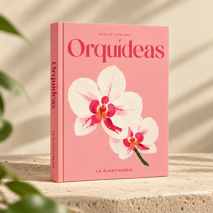 cuidados-orquideas