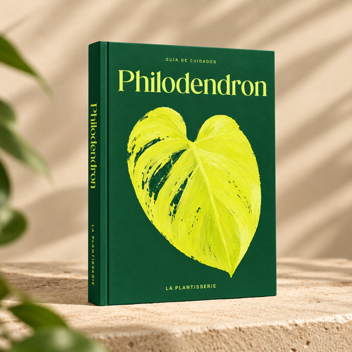 cuidados-philodendron