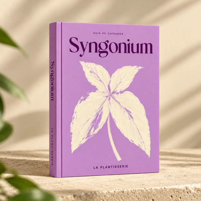 cuidados-syngonium