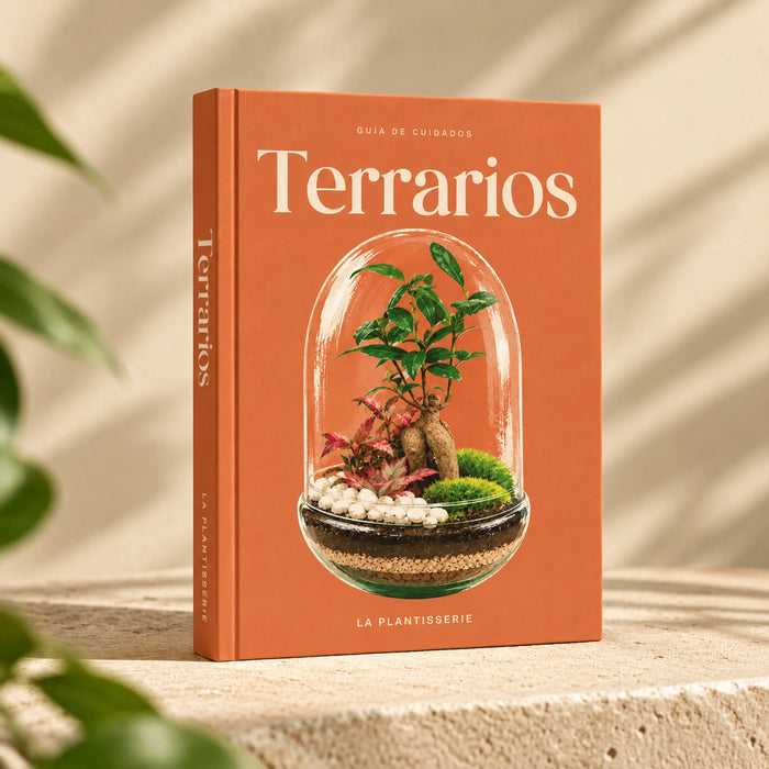 cuidados-terrarios