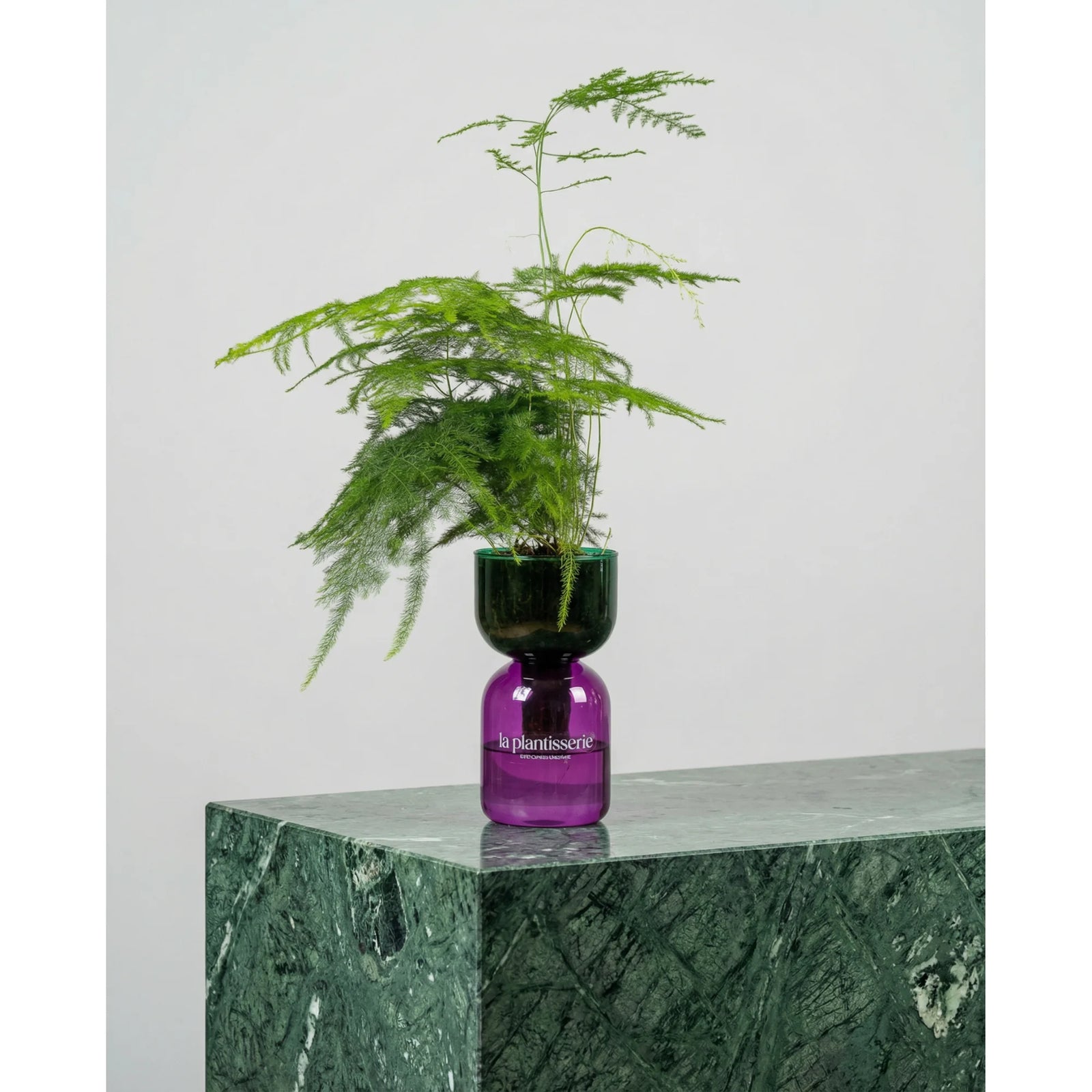 FlowPlant - Planta semi-hidropónicas