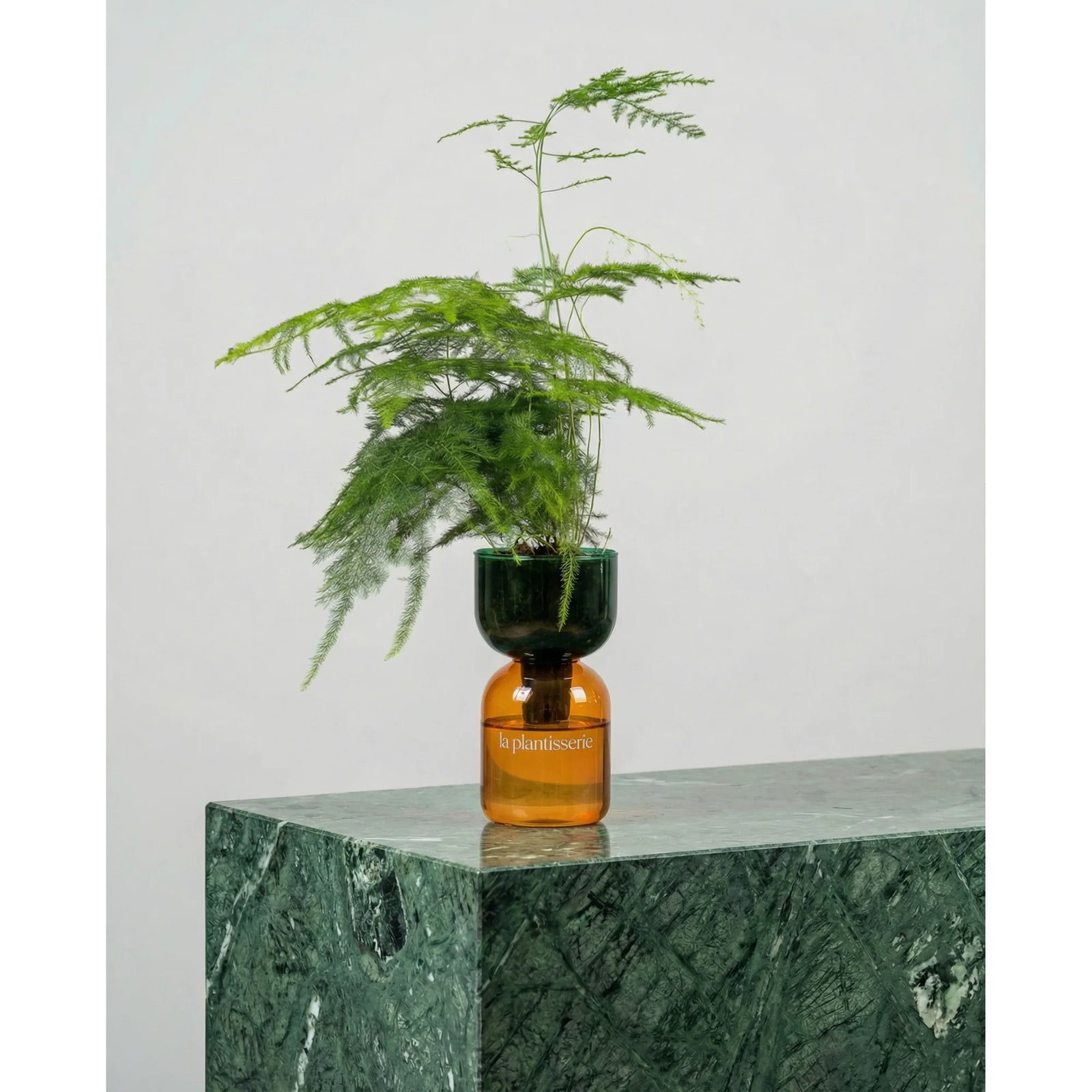 FlowPlant - Planta semi-hidropónicas