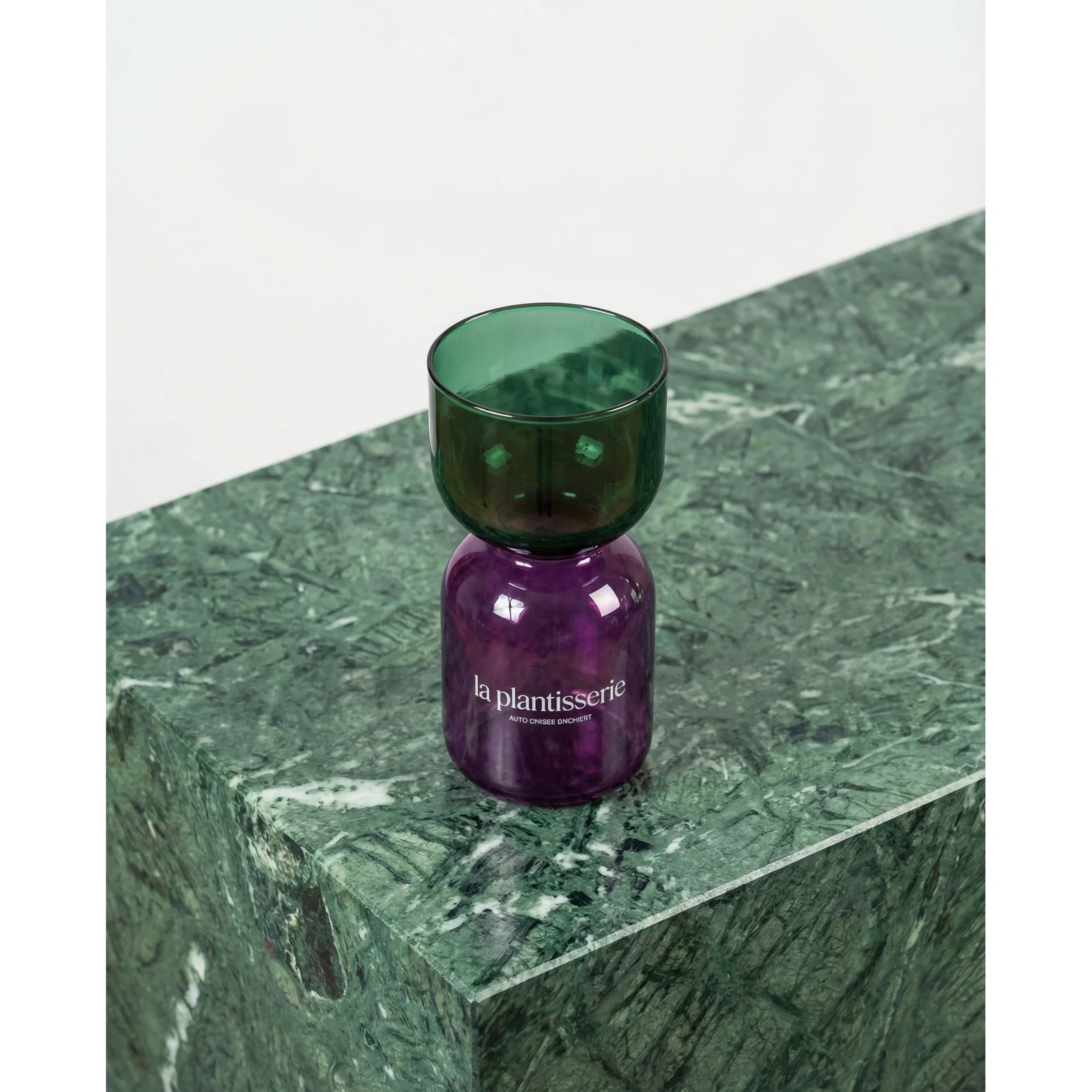 FlowPlant - Planta semi-hidropónicas