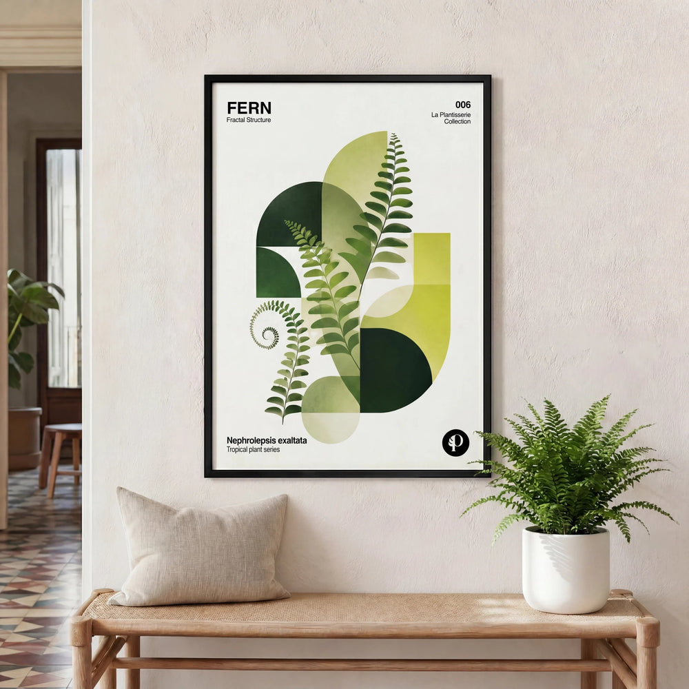 Helecho | Tropical Series | N°006 - La Plantisserie