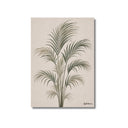 Lámina de ilustración botánica de palmera Kentia en verdes suaves sobre fondo beige