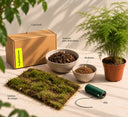 Kit kokedama DIY con Asparraguera (Asparagus plumosus) en maceta, lámina de musgo, sustrato para kokedama, akadama, hilo y caja La Plantisserie