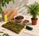 Kit kokedama DIY con Chamaedorea (palmera de salón) en maceta, lámina de musgo, sustrato para kokedama, akadama, hilo y caja La Plantisserie