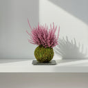 Kokedama Brezo