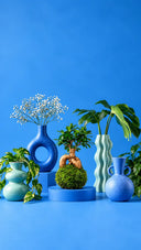 <h3><strong>verde y decoración<br/>&nbsp;siempre de la mano</strong></h3>