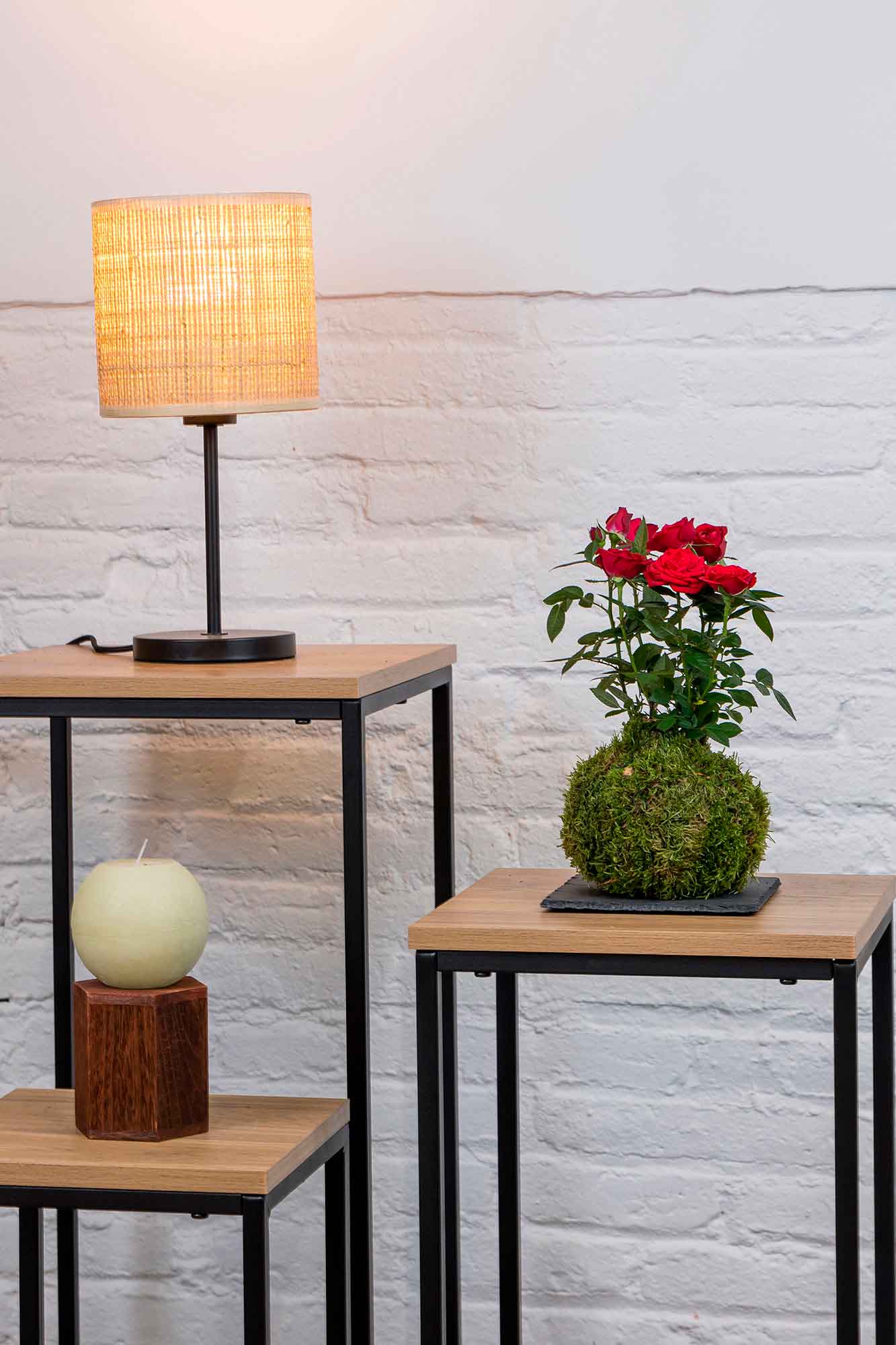 Kokedama Rosal
