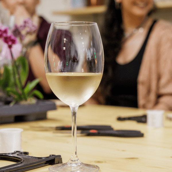 Kokedama & Wine | Cata de vinos + Taller Kokedama, experiencia de cata de vinos y kokedama en Barcelona
