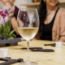 Kokedama & Wine | Cata de vinos + Taller Kokedama
