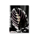 Lámina de Maranta en blanco y negro, impresión botánica en papel mate · La Plantisserie