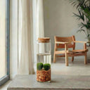 Marimo (bola de musgo)