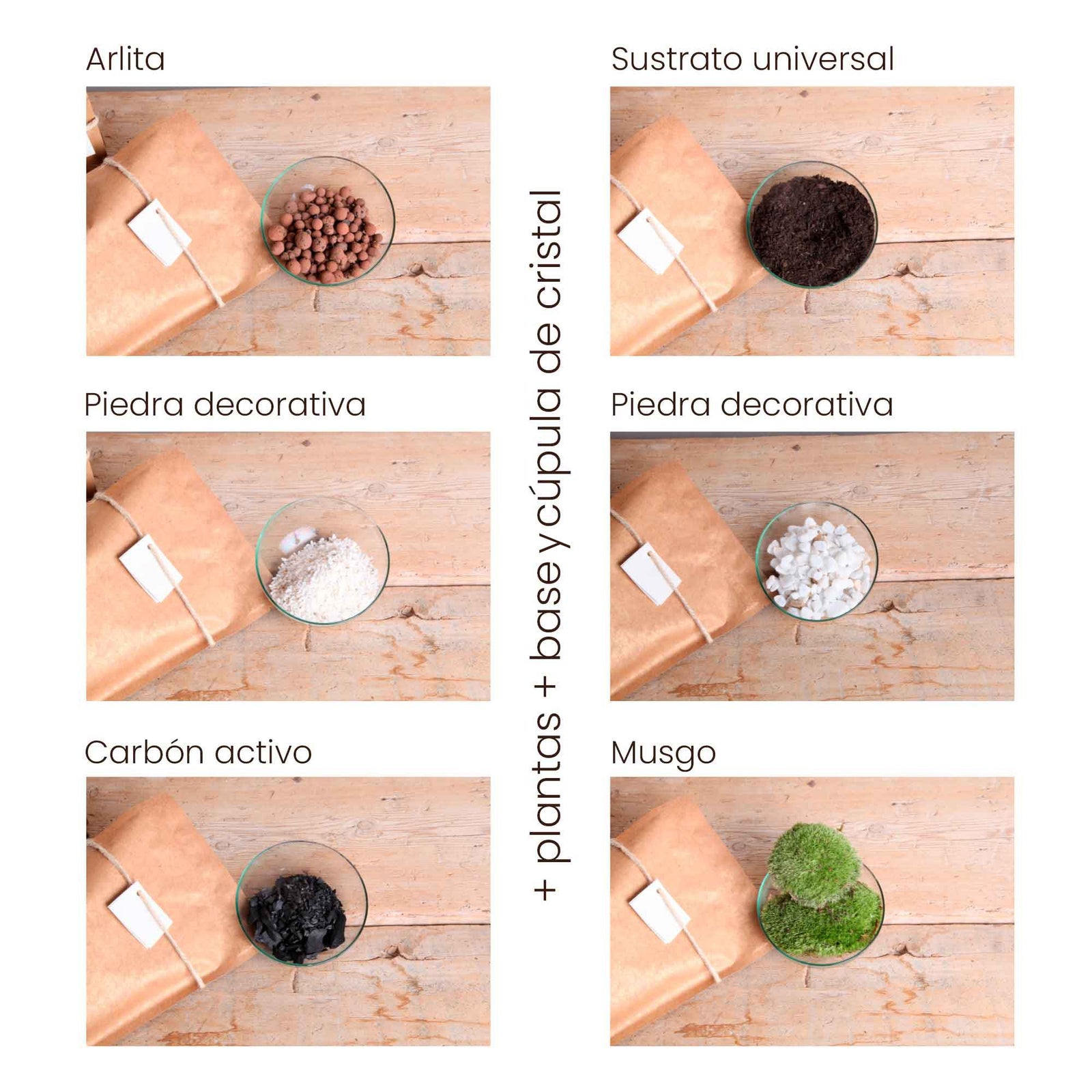 Packs DIY - Hazlo tú mismo | Terrarios de plantas