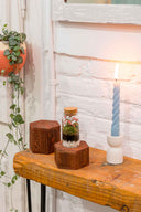 Mini Terrario plantas (9,5x4,5cm) - La Plantisserie
