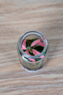 Mini Terrario plantas (9,5x4,5cm) - La Plantisserie