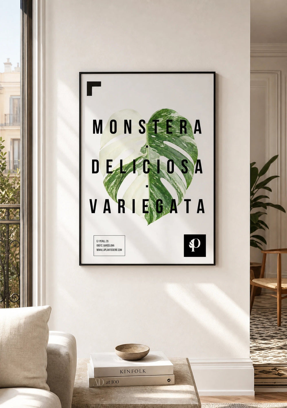 Monstera Variegata | Leaf - La Plantisserie