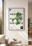 Monstera Variegata | Leaf - La Plantisserie