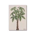 Lámina ilustrada de Pachira, impresión botánica en papel mate 200g · La Plantisserie