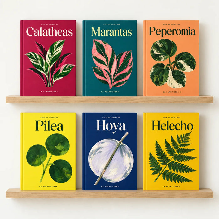 Pet friendly · Pack de 6 guías (eBooks)