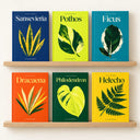 Purifican el aire · Pack de 6 guías (eBooks)