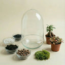 Packs DIY - Hazlo tú mismo | Terrarios de plantas - La Plantisserie