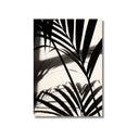 Lámina fotográfica en blanco y negro de hojas de palmera Kentia a contraluz