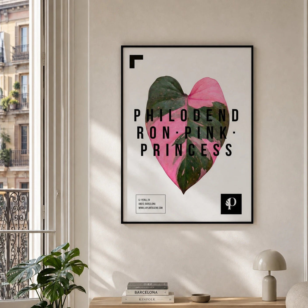 Pink Princess | Leaf - La Plantisserie