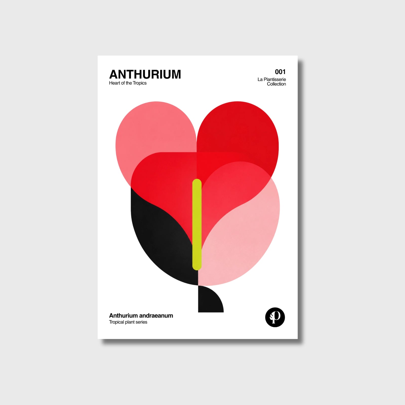 Anthurium | Tropical Series | N°001